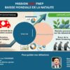 Mission 2027 : Baisse Mondiale de la Natalité